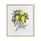 Stupell Industries Lemons & Flowers Vintage Sketch Framed Print Under Glass, design by Cecilia Battaini